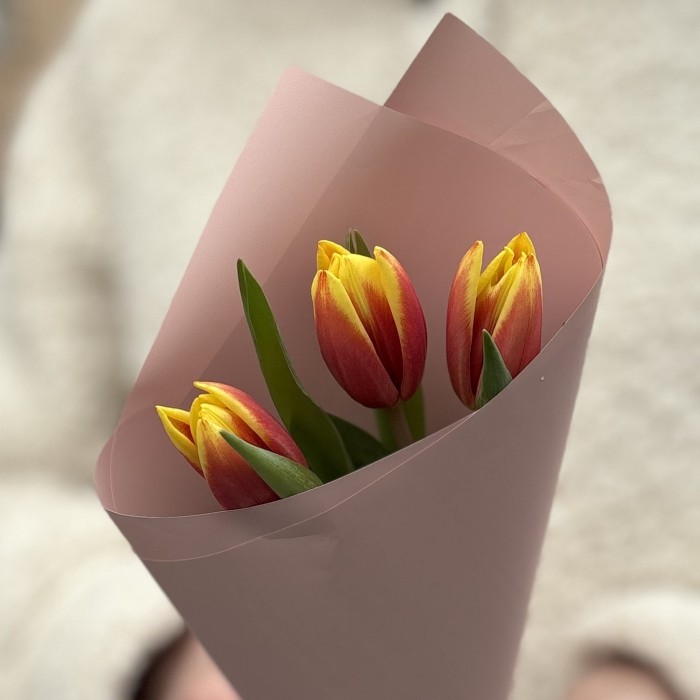 3 красно-желтых тюльпана Денмарк