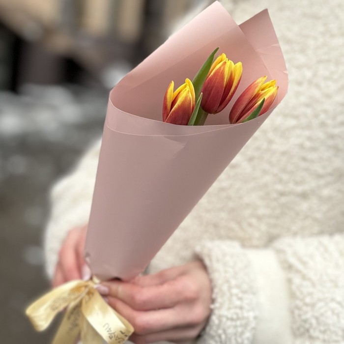 3 красно-желтых тюльпана Денмарк