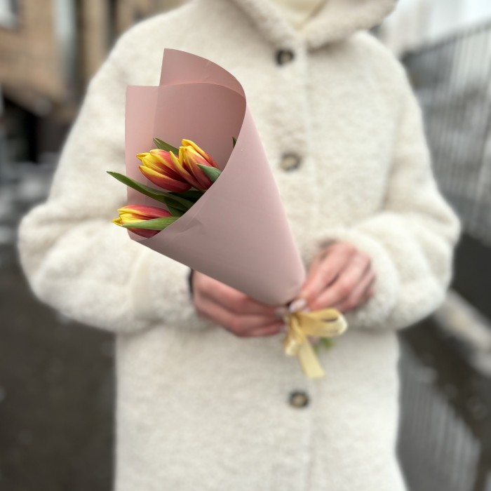 3 красно-желтых тюльпана Денмарк