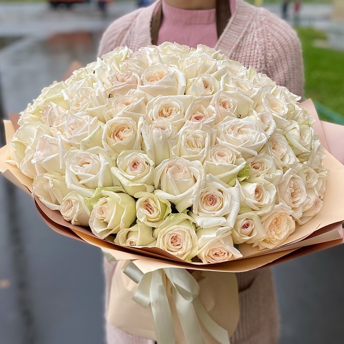 101 ароматная роза White Ohara