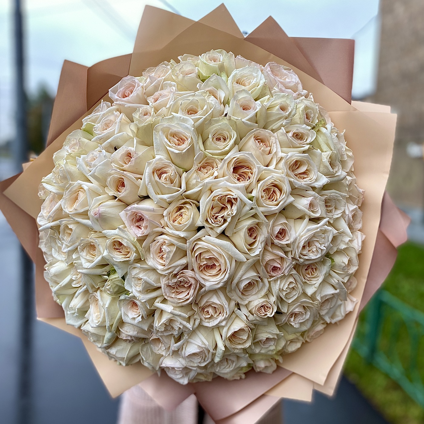 Большие букеты пионовидных роз недорого