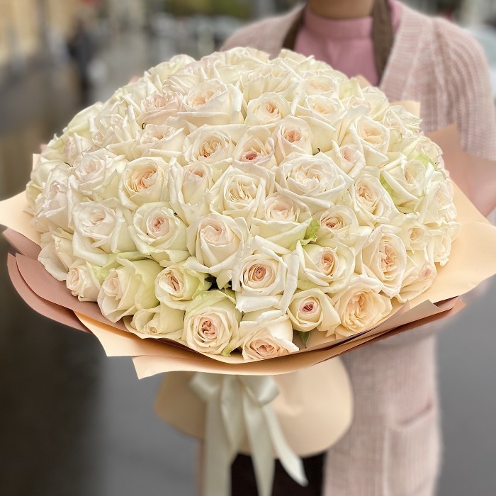 101 ароматная роза White Ohara