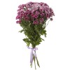 Хризантема кустовая Хайдар