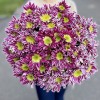 Хризантема кустовая Саба