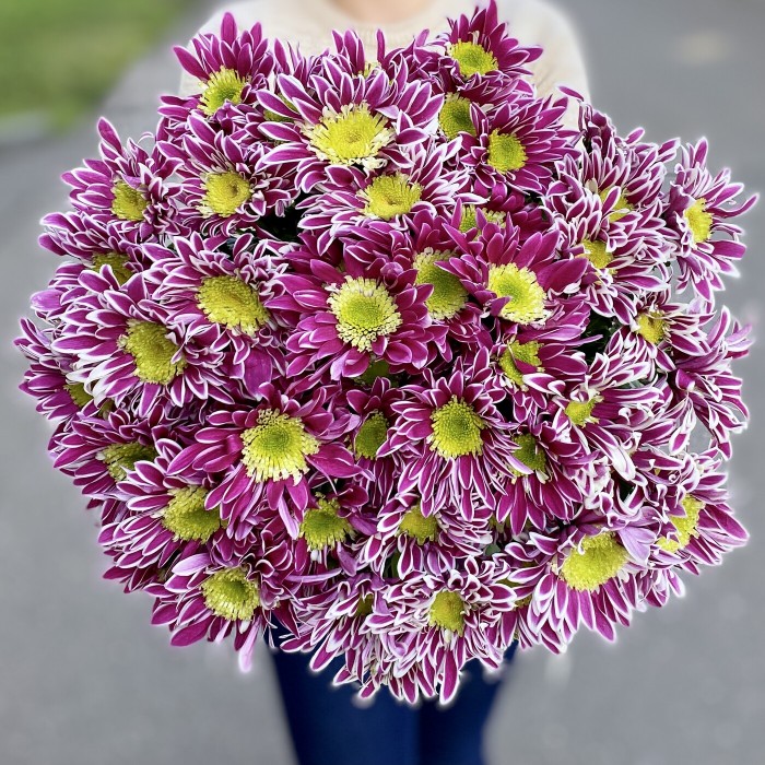 Хризантема кустовая Саба