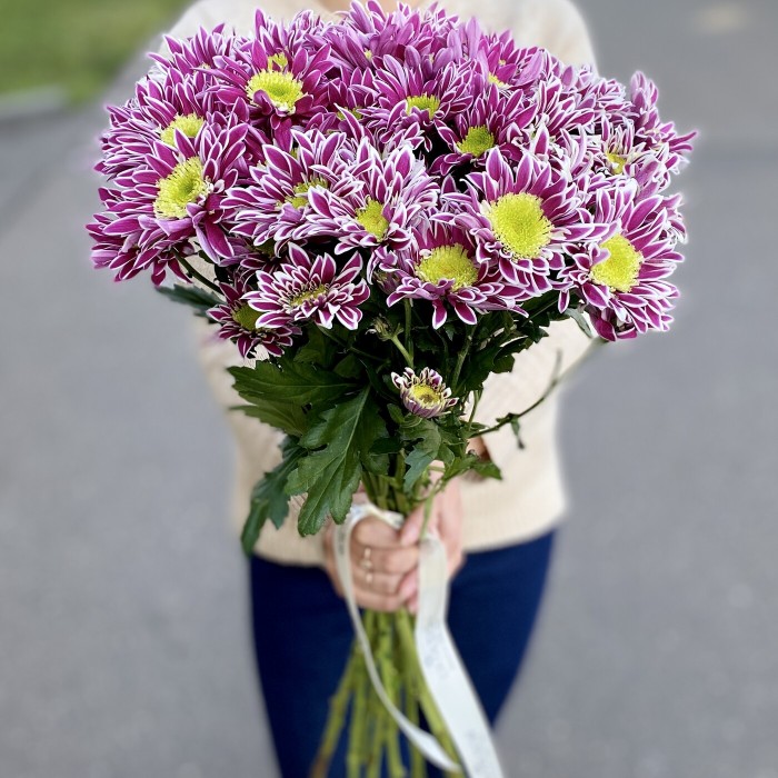 Хризантема кустовая Саба