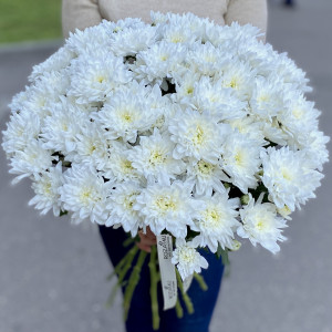 Купить цветы хризантемы штучно цветы декоративные для дома купить