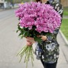 Хризантема сиреневая Резюме