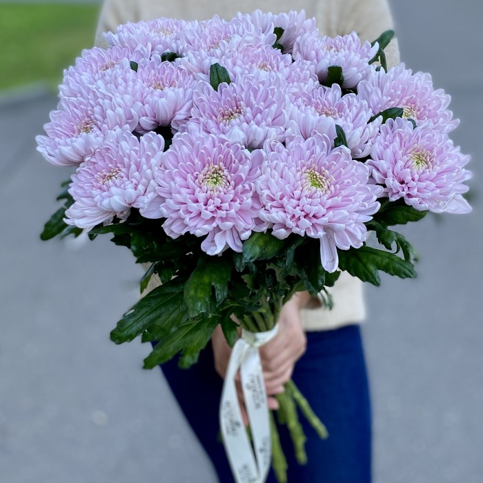 Хризантема розовая Росана