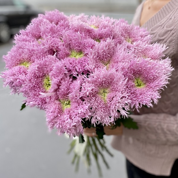 Хризантема розовая Этруско Пинк