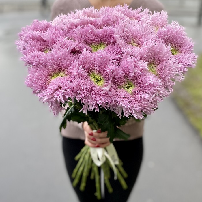 Хризантема розовая Этруско Пинк