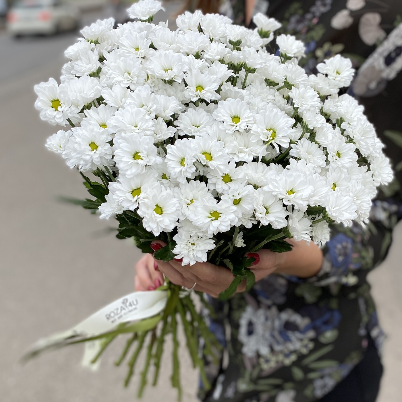 Сантини белые заказ цветов с доставкой по якутску