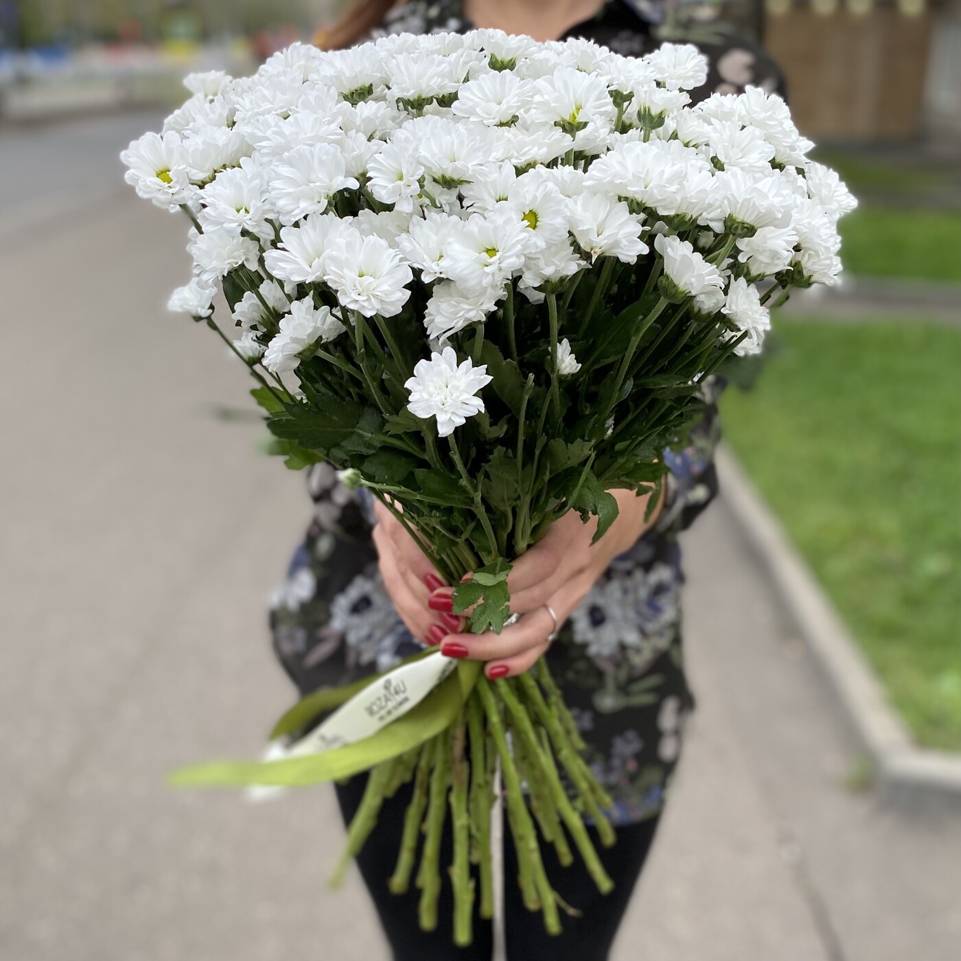 Сантини белые самые низкие цены на цветы в москве
