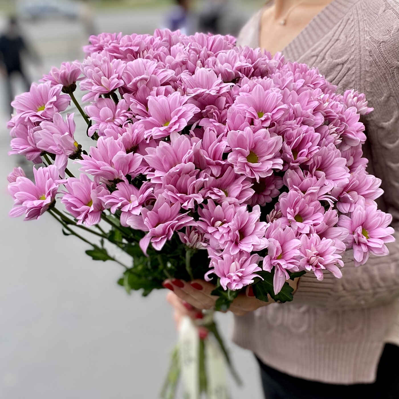 Хризантема кустовая фиолетовая Катинка | купить недорого | доставка по  Москве и области