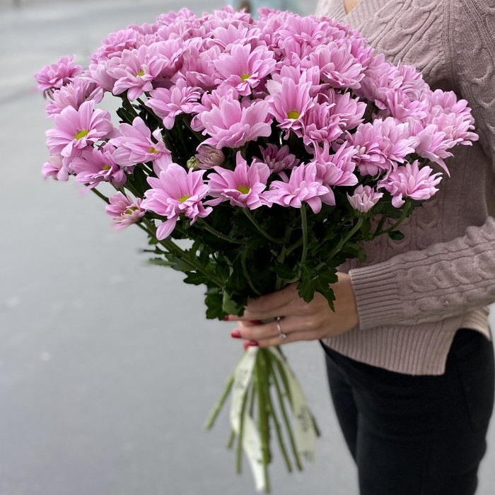 Хризантема кустовая Катинка