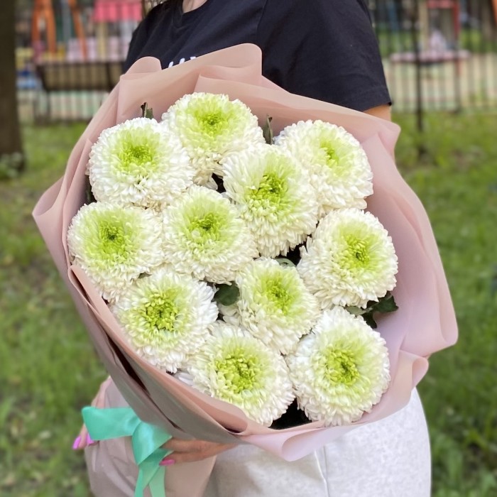 11 бело-зеленых хризантем Помпон