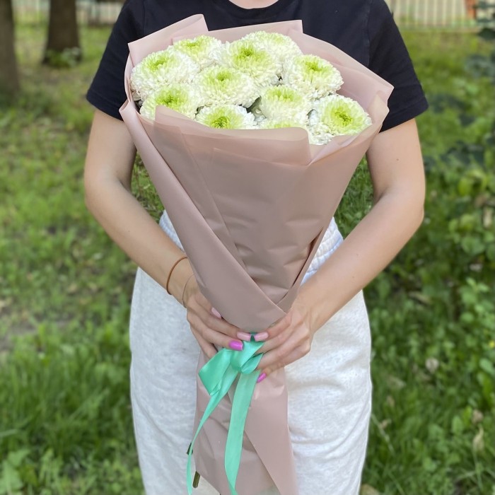 11 бело-зеленых хризантем Помпон