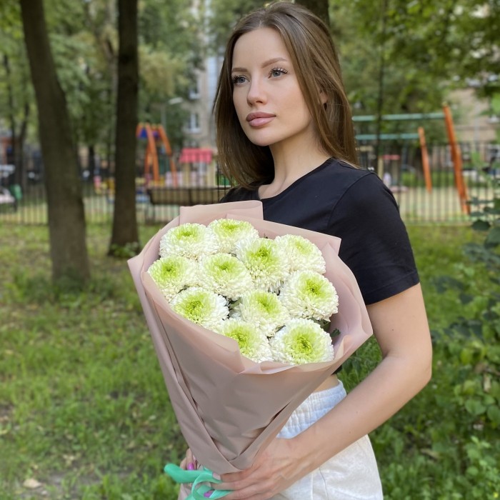 11 бело-зеленых хризантем Помпон