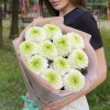 11 бело-зеленых хризантем Помпон