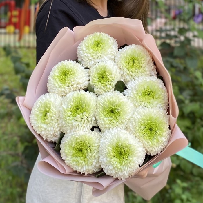 11 бело-зеленых хризантем Помпон