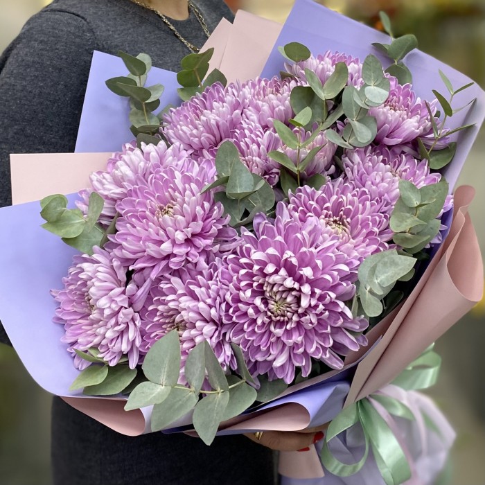 13 сиреневых хризантем с эвкалиптом
