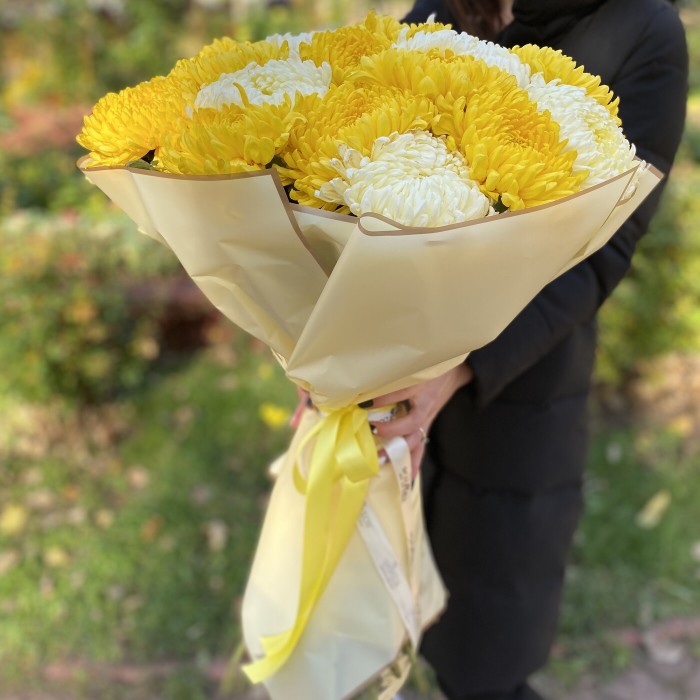 25 желтых и белых крымских хризантем