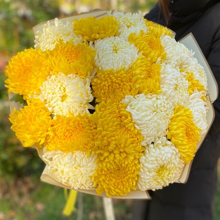 25 желтых и белых крымских хризантем