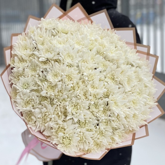 25 белоснежных хризантем Балтика