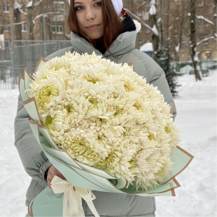 51 белая хризантема