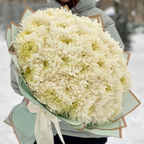 51 белая хризантема
