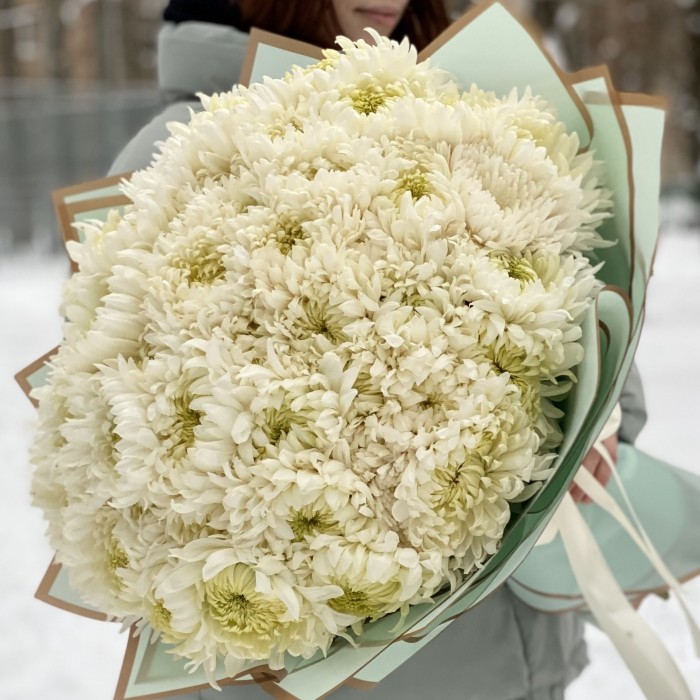 51 белая хризантема