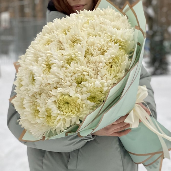 51 белая хризантема