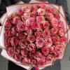51 пятнистая роза Барракуда