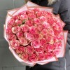 51 пятнистая роза Барракуда
