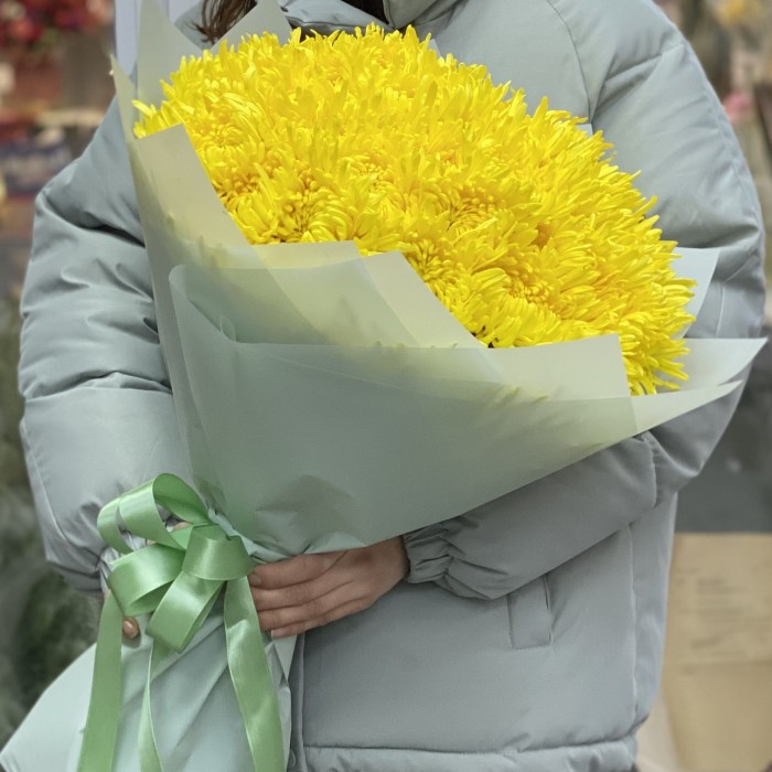 51 жёлтая хризантема