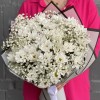9 белых кустовых хризантем Бакарди с гипсофилой