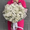 9 белых кустовых хризантем Бакарди с гипсофилой