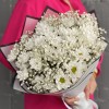 9 белых кустовых хризантем Бакарди с гипсофилой