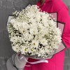 9 белых кустовых хризантем Бакарди с гипсофилой