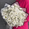 9 белых кустовых хризантем Бакарди с гипсофилой