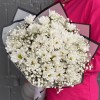 9 белых кустовых хризантем Бакарди с гипсофилой