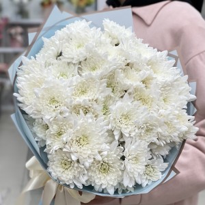 9 белых кустовых Балтика 9 белых кустовых Балтика