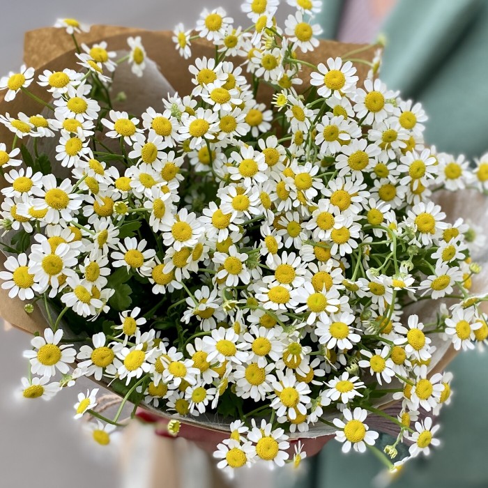 Букет ароматных ромашек