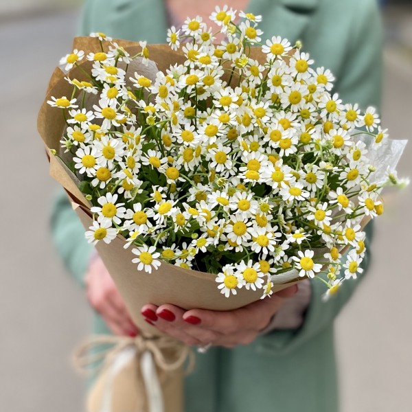 Букет ароматных ромашек