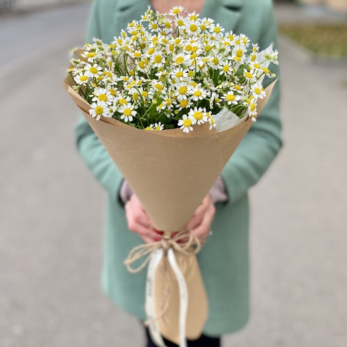 Букет ароматных ромашек