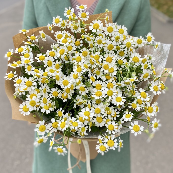 Букет ароматных ромашек