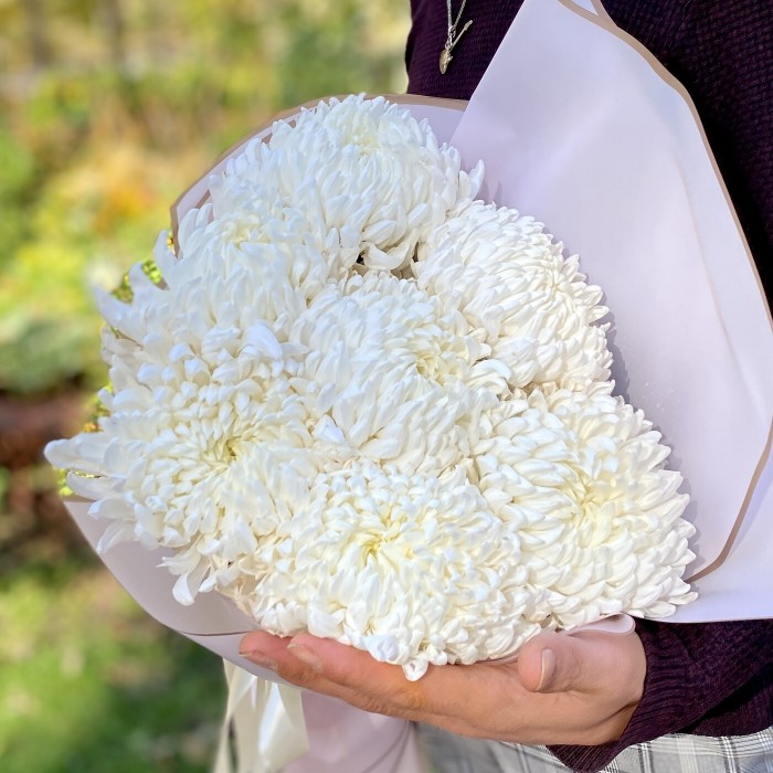 Букет белых крымских хризантем