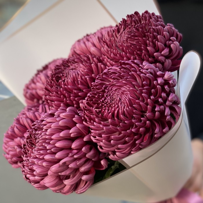 Букет бордовая крымских хризантем