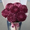 Букет бордовая крымских хризантем