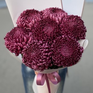 Букет бордовая крымских хризантем